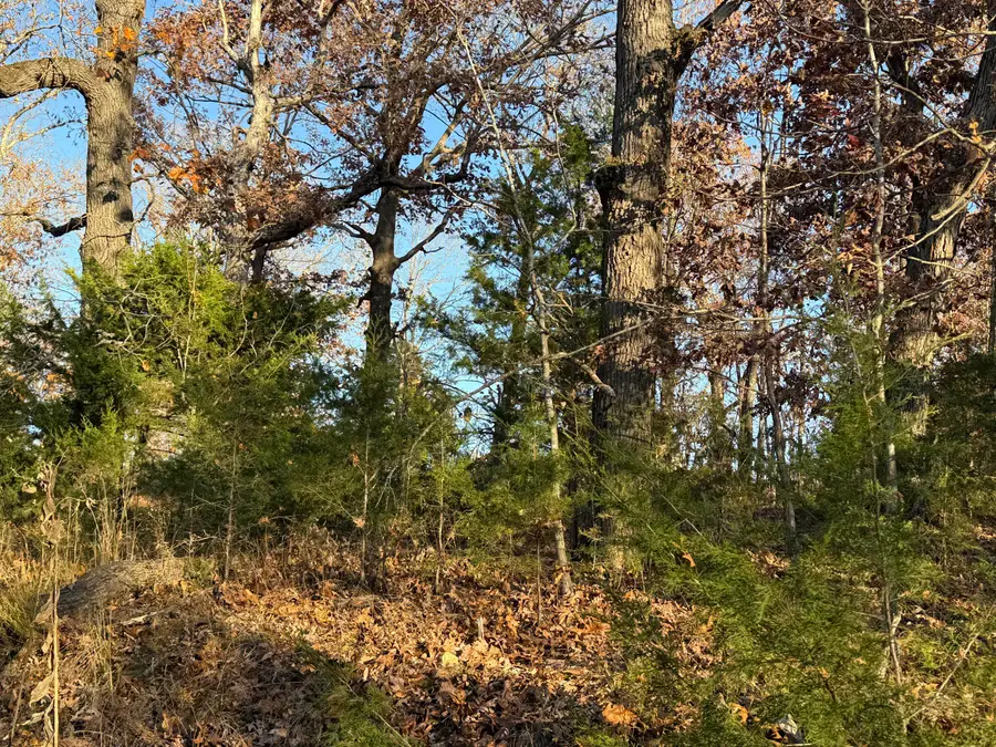 000 County Road 871, Thornfield, MO 65762 - Image #2