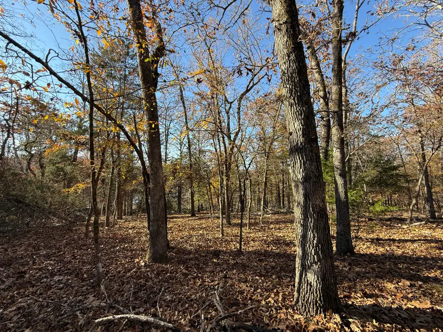 Lot 40 Point Ct., Theodosia, MO 65761 - Image #2