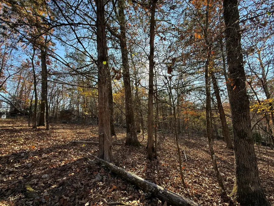 Lot 40 Point Ct., Theodosia, MO 65761 - Image #3
