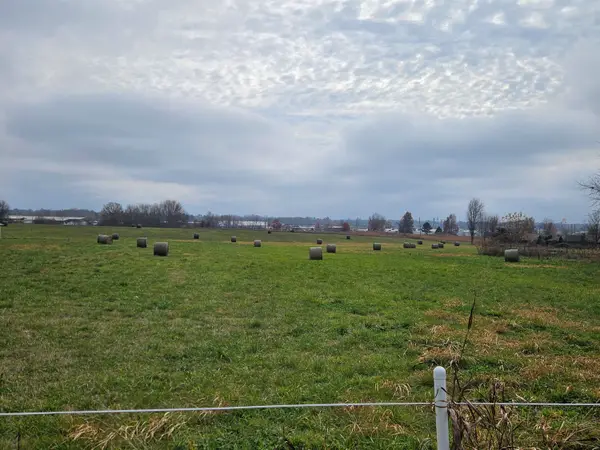 000 Red Springs Road, Mountain Grove, MO 65711