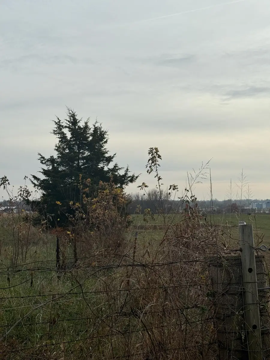 000 Red Springs Road, Mountain Grove, MO 65711 - Image #2