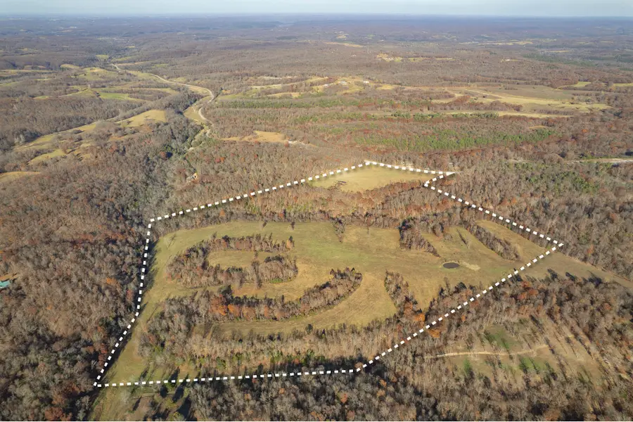 82+/- Acres Route E, Pineville, MO 64856 - Image #2