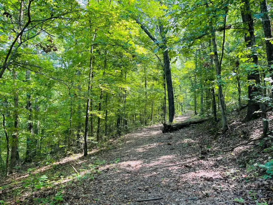 2362 N State Highway 265 #20 Acres M/L, Branson, MO 65616 - Image #3