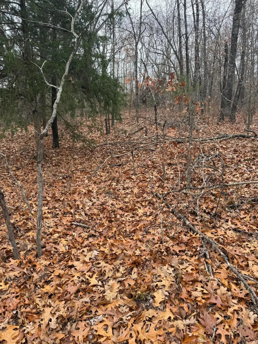 000 Pecan Drive, Grovespring, MO 65662 - Image #2