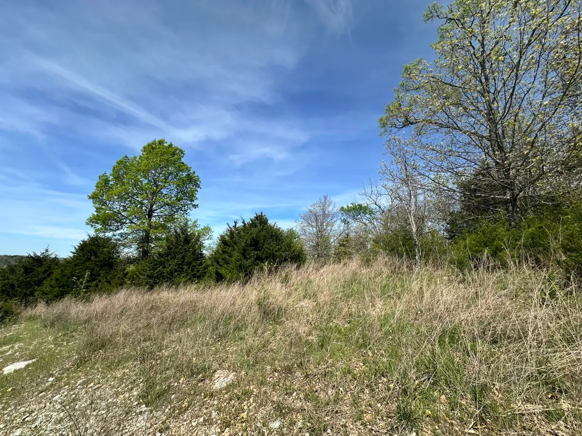 Lot 25 Hanging Branch Ridge Road, Cape Fair, MO 65624 - Image #1