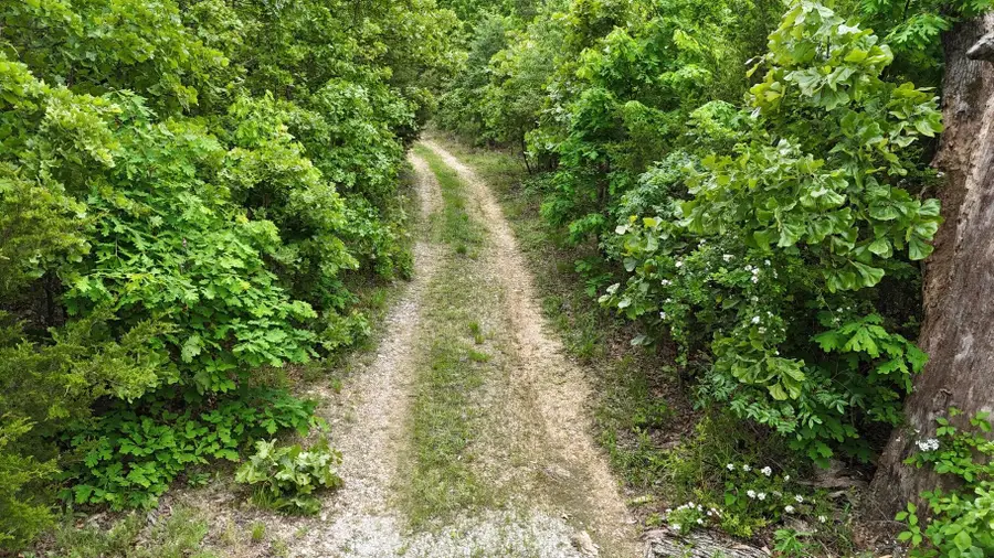 Tract 19 Pine Ridge East, Cabool, MO 65689 - Image #3