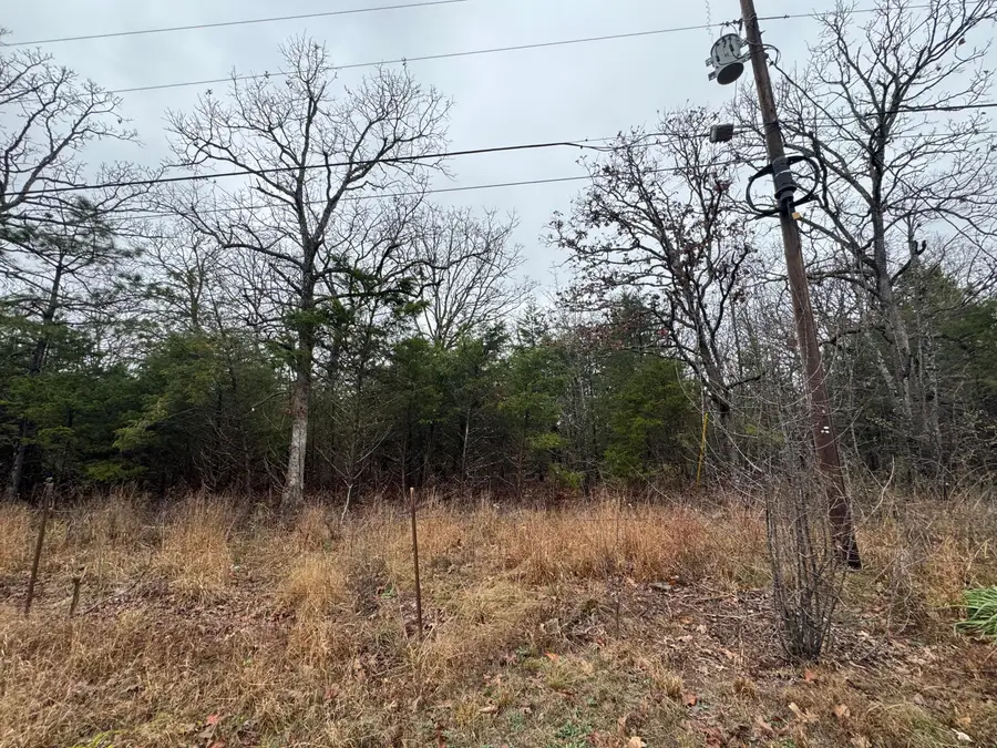 000 Cleveland Rd., Houston, MO 65483 - Image #2