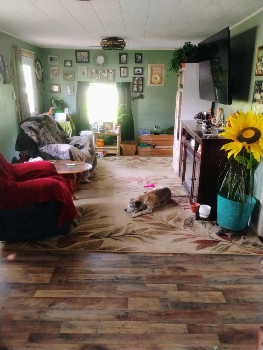 479 Oak Hill Road, Houston, MO 65483 - Image #3