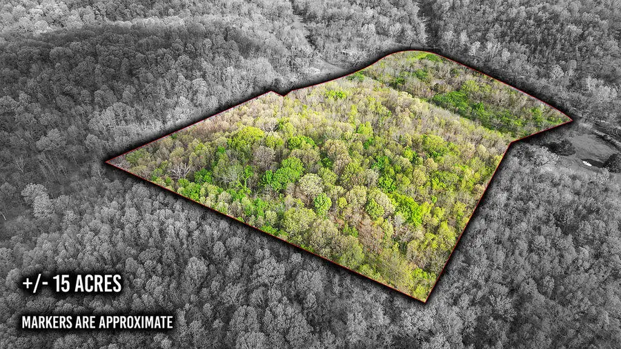 Tbd Stogdon Hollow Road, Anderson, MO 64831 - Image #2