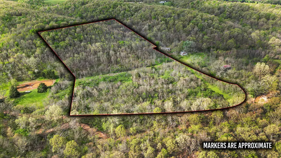 Tbd Stogdon Hollow Road, Anderson, MO 64831 - Image #3