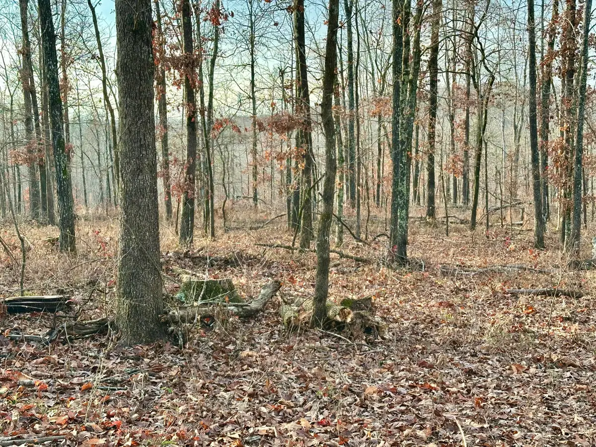 000 County Road 123 Tract-a, Van Buren, MO 63965 - Image #1