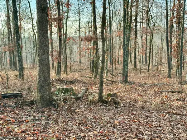 000 County Road 123 Tract-a, Van Buren, MO 63965