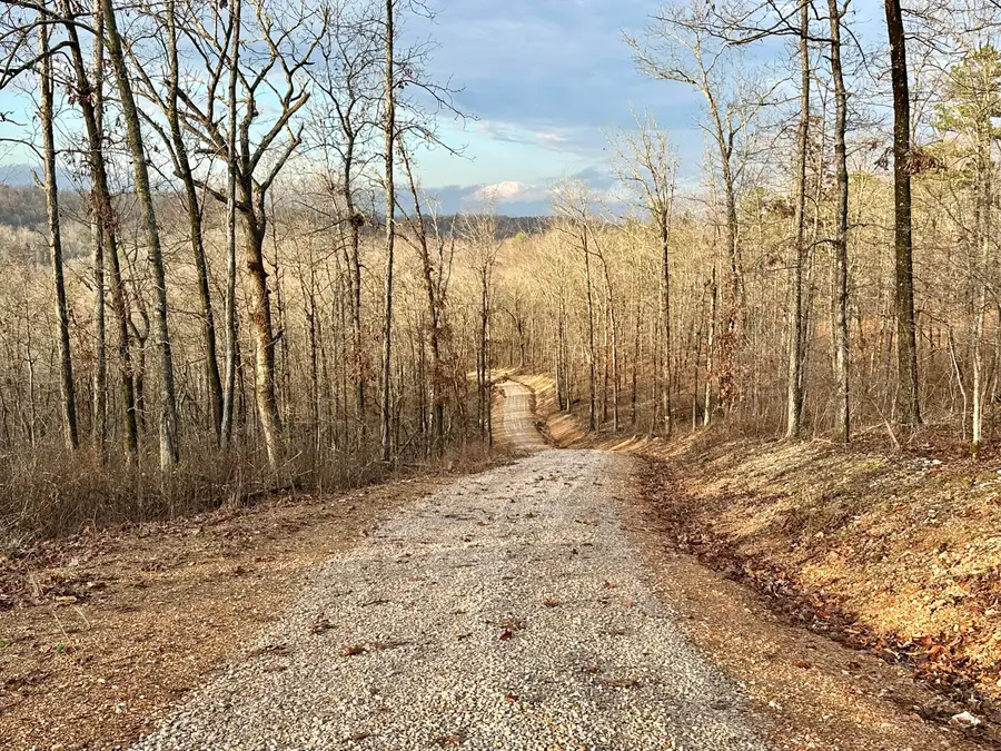 000 County Road 123 Tract-a, Van Buren, MO 63965 - Image #3