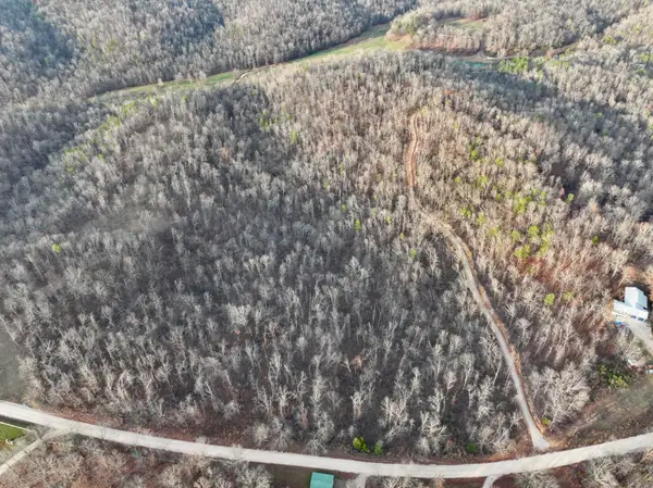 000 County Road 123 Tract-b, Van Buren, MO 63965