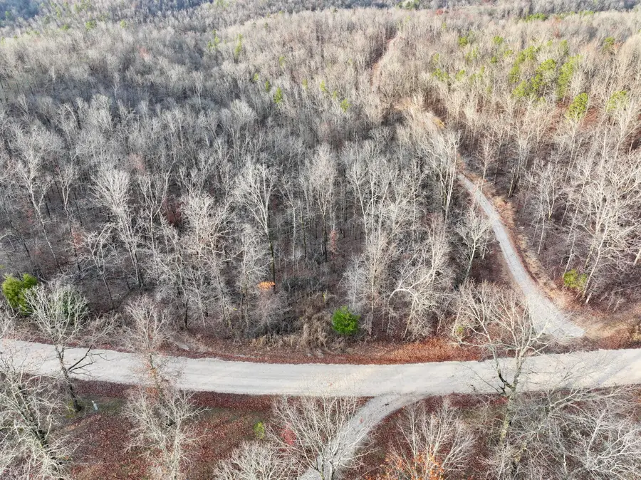 000 County Road 123 Tract-b, Van Buren, MO 63965 - Image #3