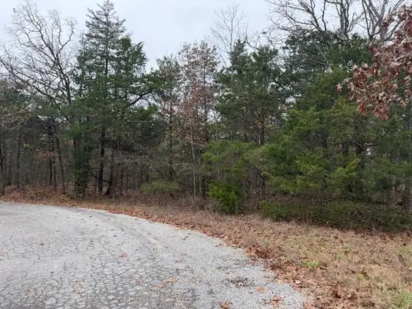 136 Lots Turkey Mountain Estates, Shell Knob, MO 65747