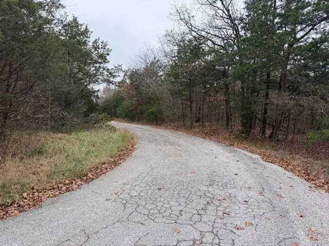136 Lots Turkey Mountain Estates, Shell Knob, MO 65747 - Image #2