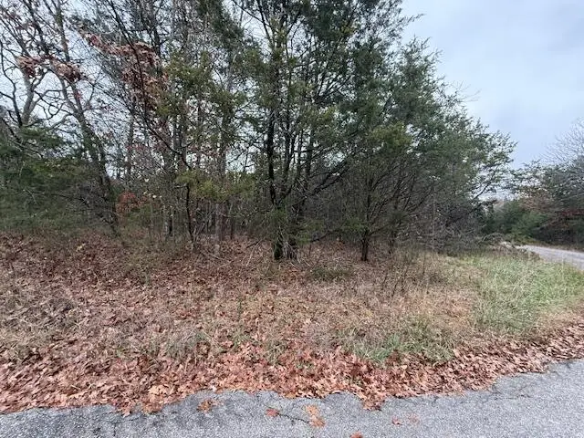 136 Lots Turkey Mountain Estates, Shell Knob, MO 65747 - Image #3