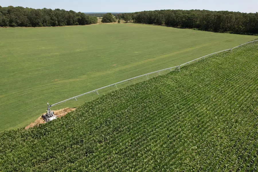 11426 Lawrence 2220, Verona, MO 65769 - Image #3