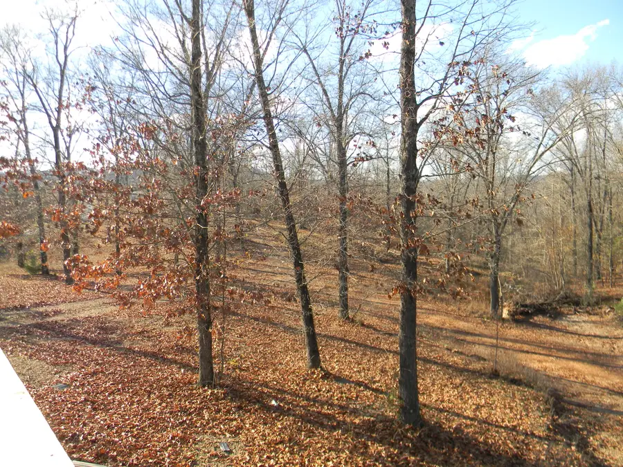 26713 Farm Road 1186, Eagle Rock, MO 65641 - Image #3