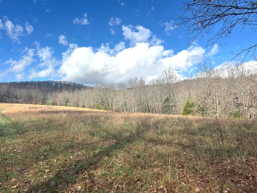 0 E Highway 14 Private Drive #D, Ava, MO 65608 - Image #2