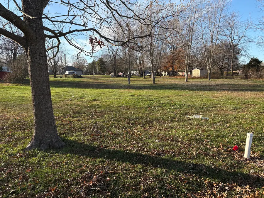 Tbd Olive Street, Seymour, MO 65746 - Image #2