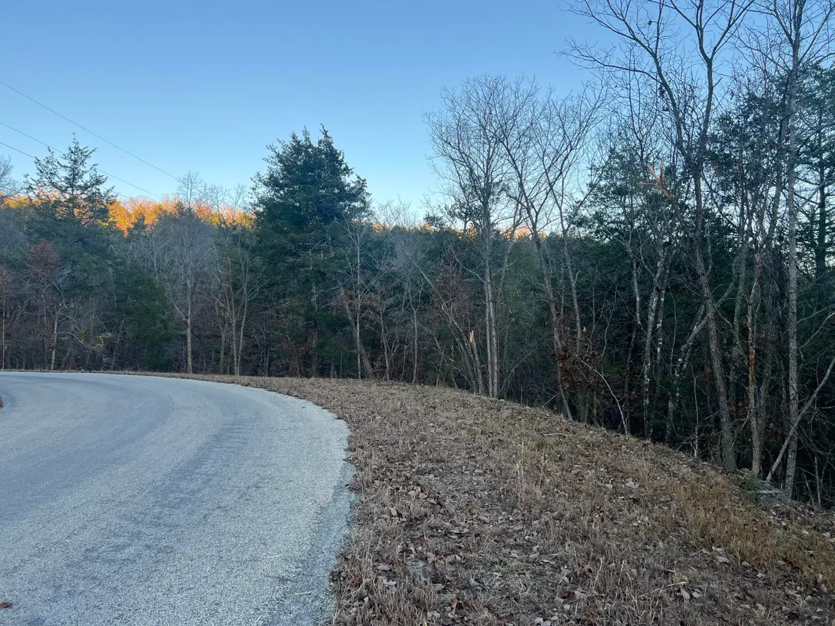 790 Pomme De Terre, Branson, MO 65616 - Image #1