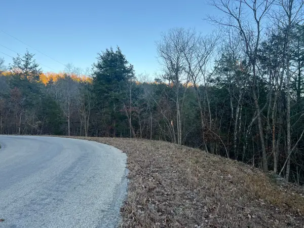 790 Pomme De Terre, Branson, MO 65616