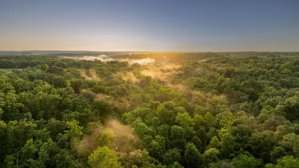 166 State Road P, Long Lane, MO 65590