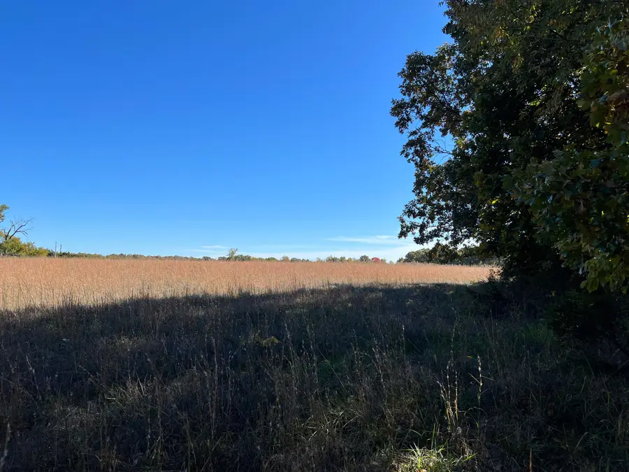 4774 N Farm Road 215, Strafford, MO 65757 - Image #2