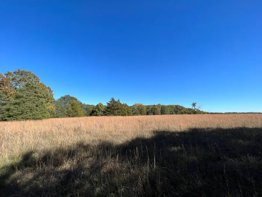 4774 N Farm Road 215, Strafford, MO 65757 - Image #3