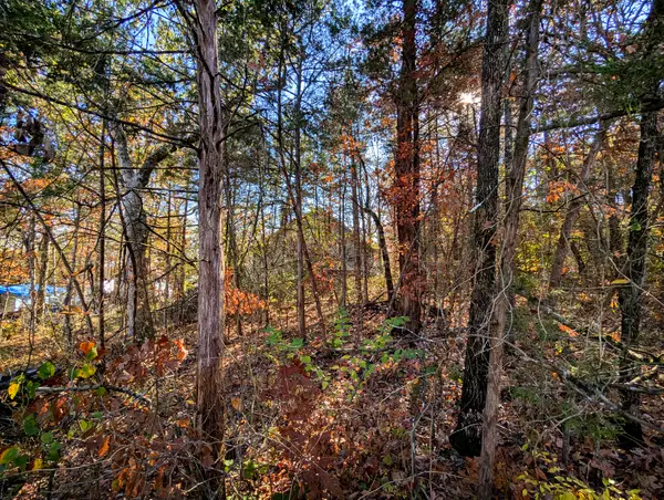 Lot 69&70 Bluebird Road, Rockaway Beach, MO 65740