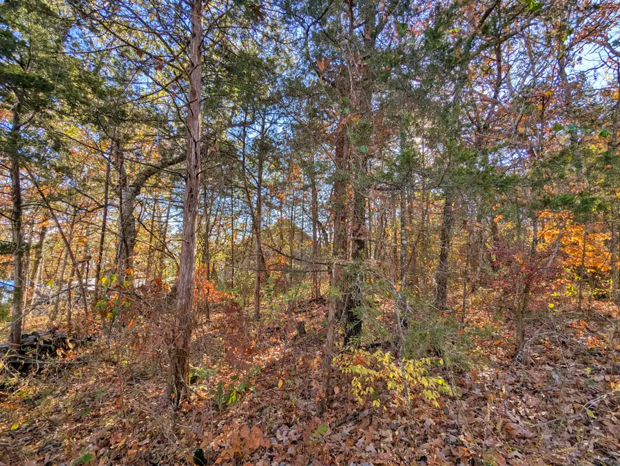 Lot 69&70 Bluebird Road, Rockaway Beach, MO 65740 - Image #3