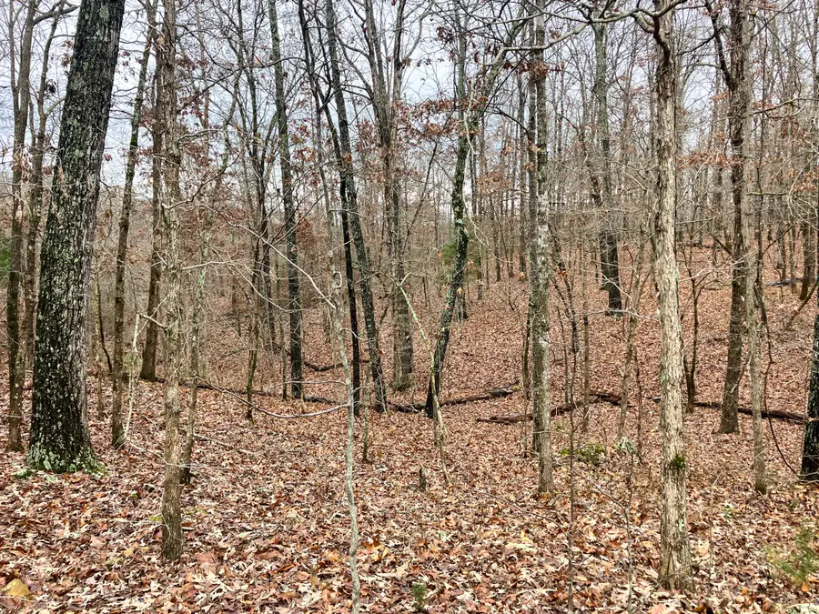 000 Us Highway 160, Tecumseh, MO 65760 - Image #3