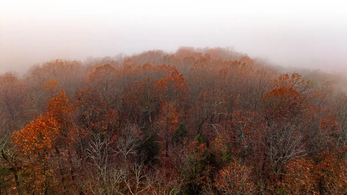 000 County Road 36, Gainesville, MO 65655 - Image #1