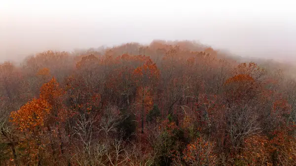 000 County Road 36, Gainesville, MO 65655