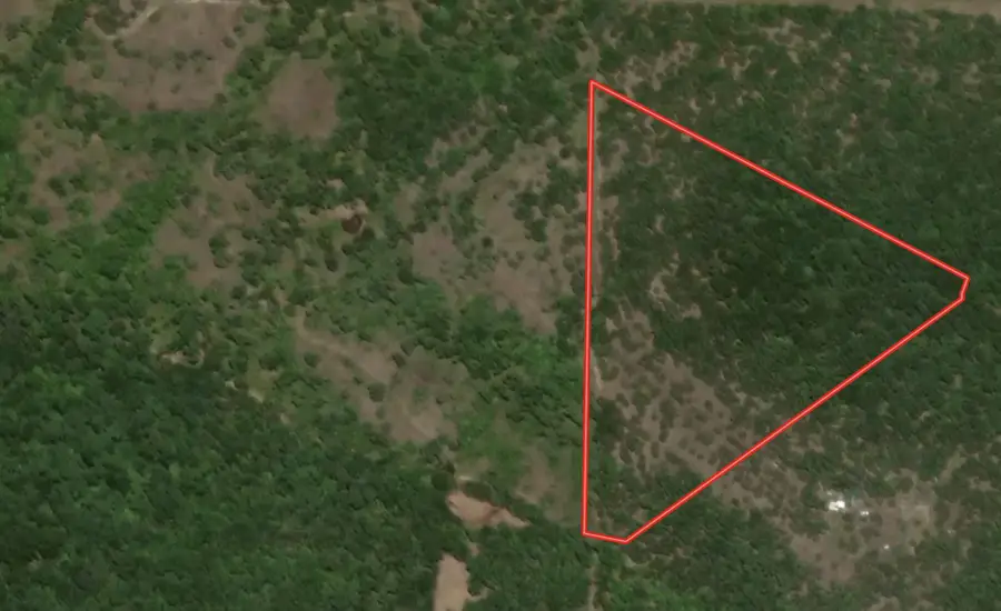 000 County Road 36, Gainesville, MO 65655 - Image #2