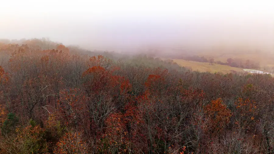 000 County Road 36, Gainesville, MO 65655 - Image #3