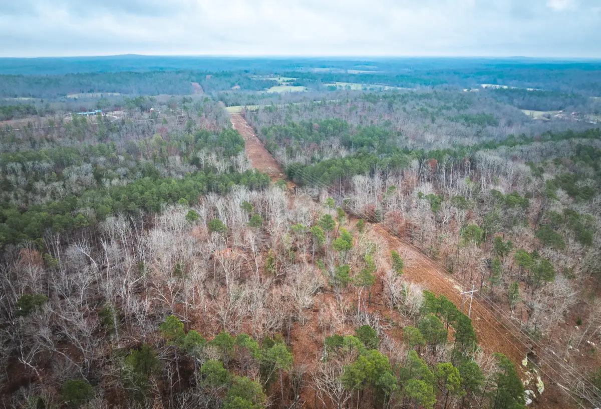 000 Dalton Drive, Licking, MO 65542 - Image #1