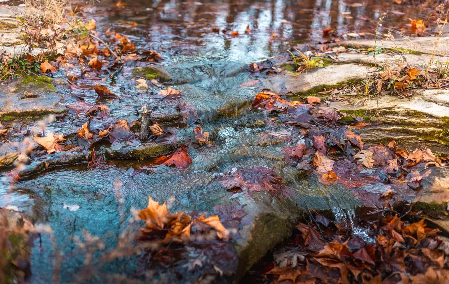 000 Dalton Drive, Licking, MO 65542 - Image #2