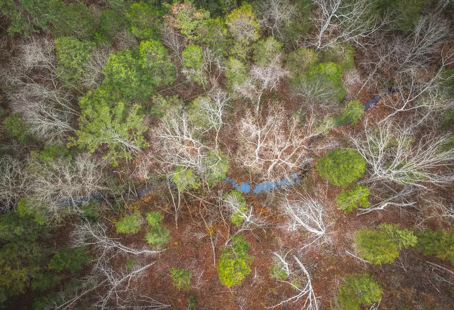 000 Dalton Drive, Licking, MO 65542 - Image #3