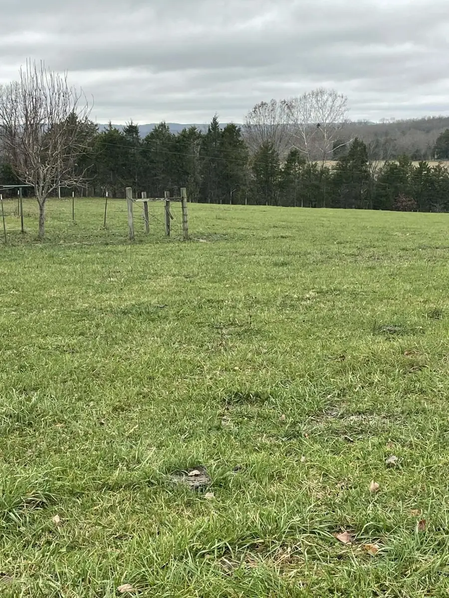 2174 County Road A-425, Ava, MO 65608 - Image #2