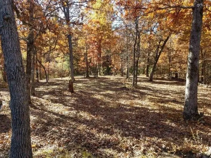 Tbd Foxtail Trail, Louisburg, MO 65685 - Image #2