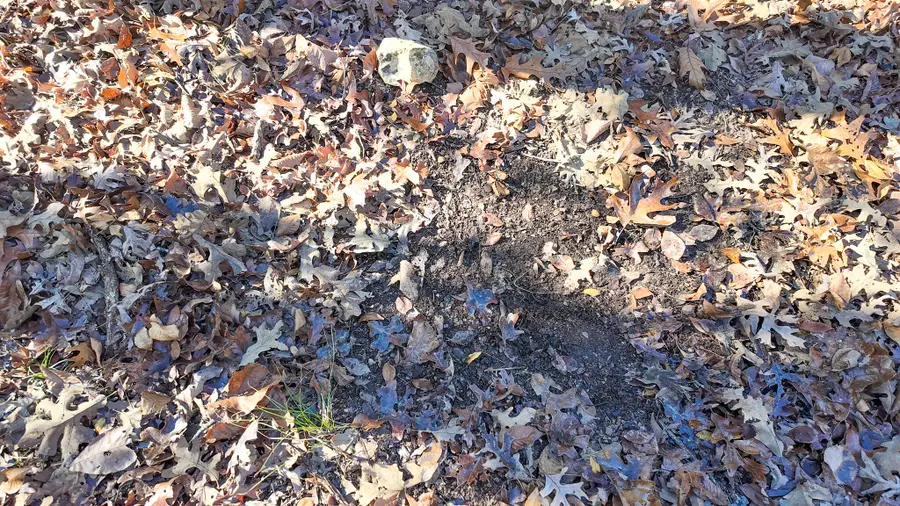 000 SE 1151 Road, Collins, MO 64738 - Image #3