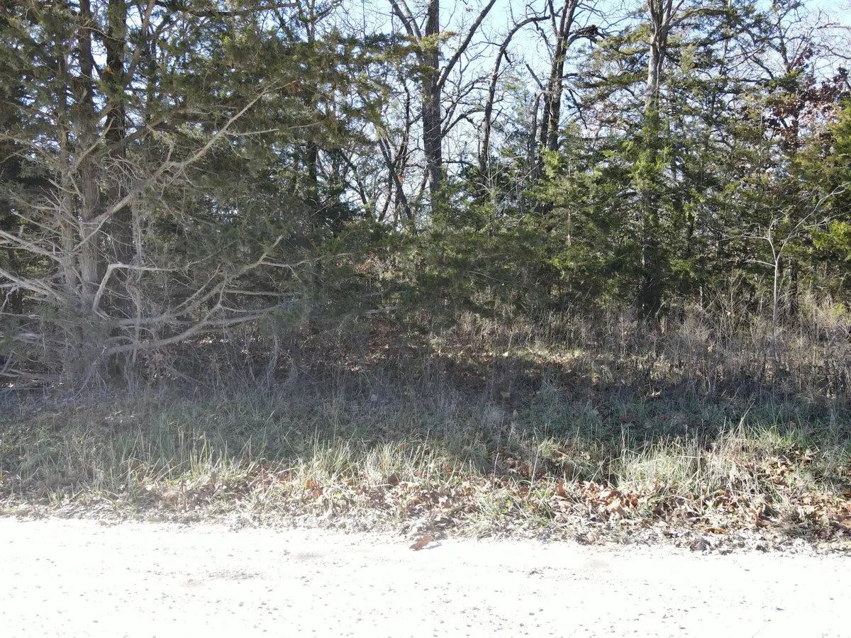 000 SE 951 Road, Collins, MO 64738 - Image #1