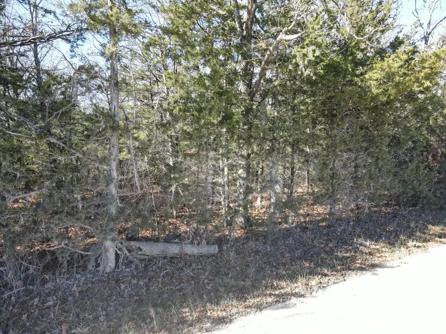 000 SE 951 Road, Collins, MO 64738 - Image #2