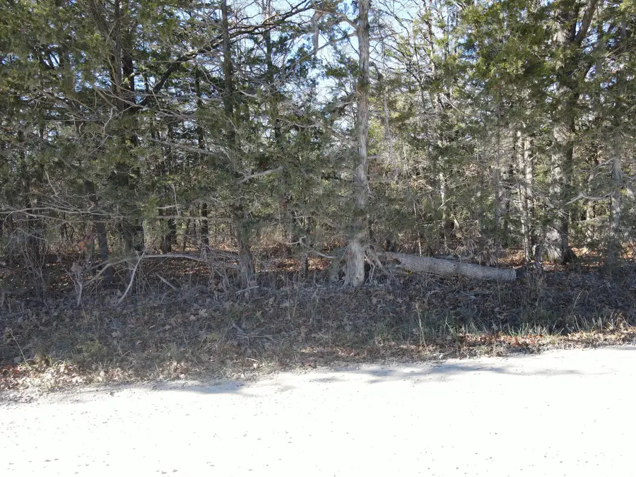 000 SE 951 Road, Collins, MO 64738 - Image #3