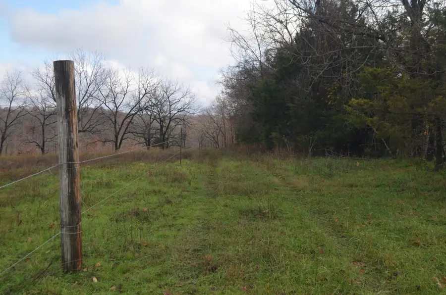 000 Logan Ridge Road, Ozark, MO 65721 - Image #3
