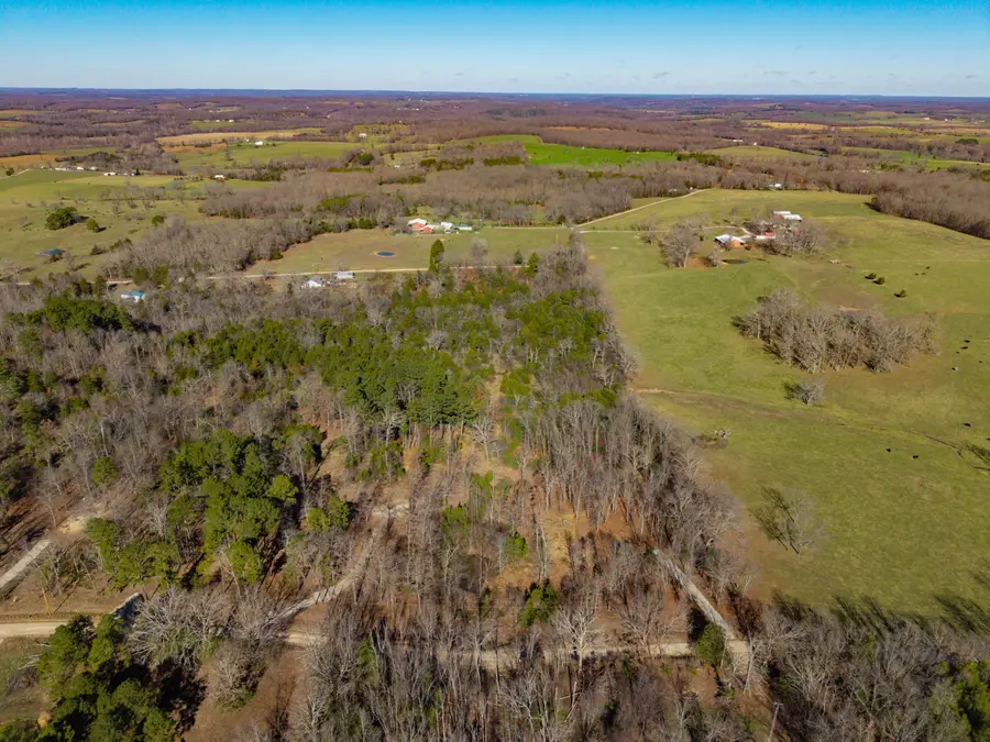 Lot A Malberg Road, Cabool, MO 65689 - Image #3
