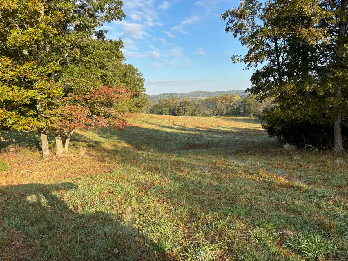 Tbd County Road 14-252, Drury, MO 65638 - Image #1